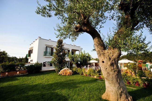 La Valle Del Cristallo B&B Cisternino Eksteriør billede